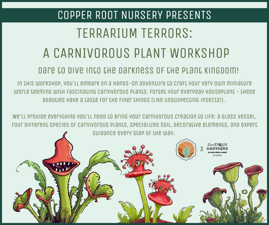 Terrarium Terrors Workshop
